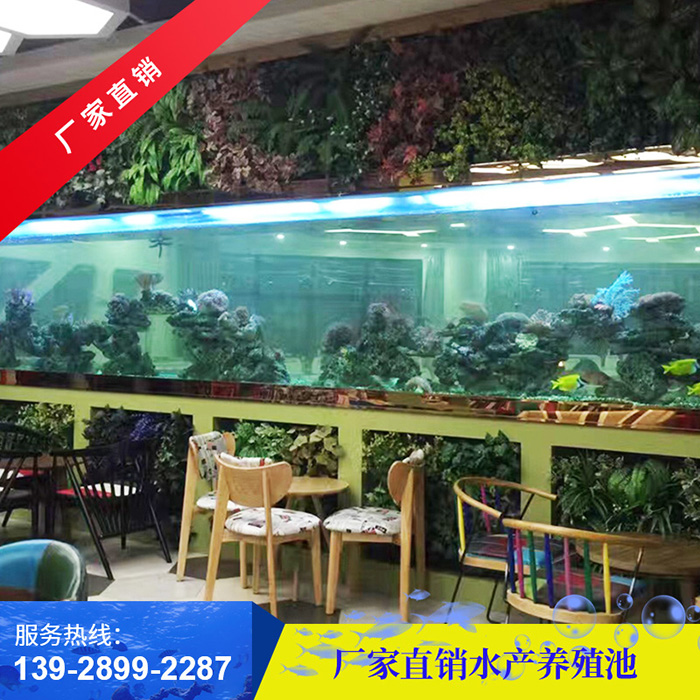 常见的几种海鲜池
