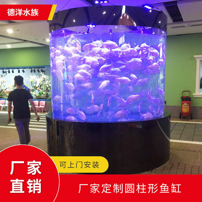 鱼缸水浑浊的常见形式以及处理方法