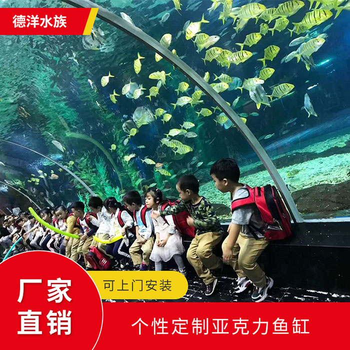 大型水族箱的性能设计