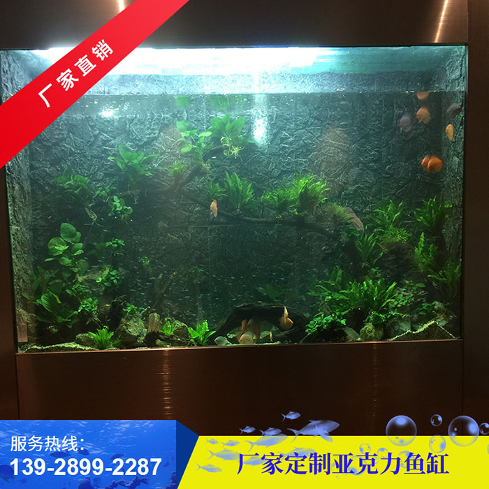 大型鱼缸内放置过滤棉和生化棉有何不同
