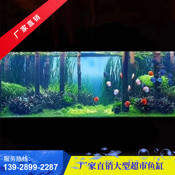 大型鱼缸怎么造景？