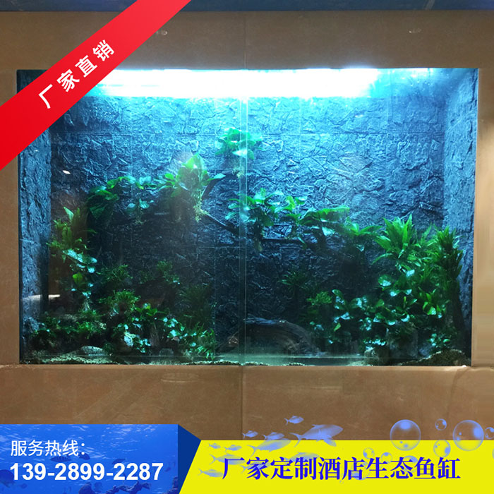 酒店生态鱼缸
