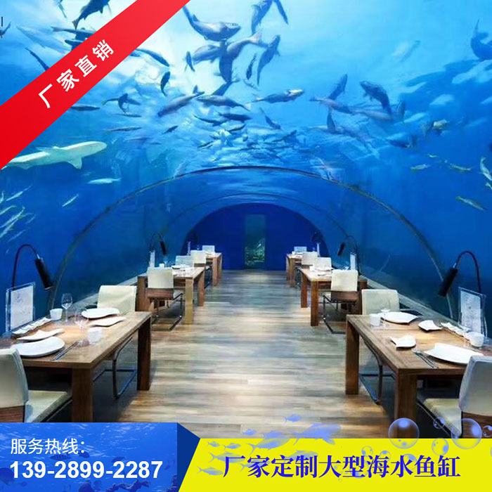 大型海水鱼缸