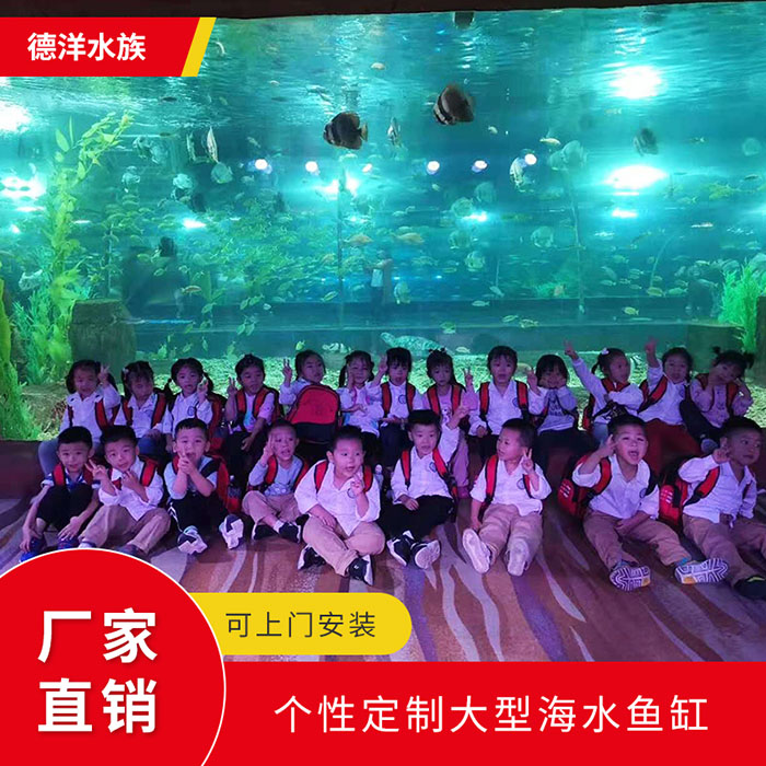个性定制大型海水鱼缸