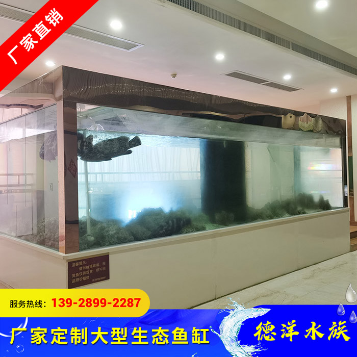 大型生态鱼缸