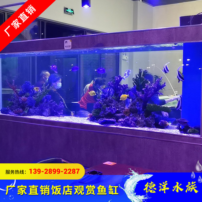 饭店观赏鱼缸