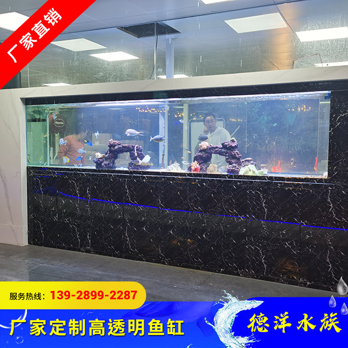高透明鱼缸