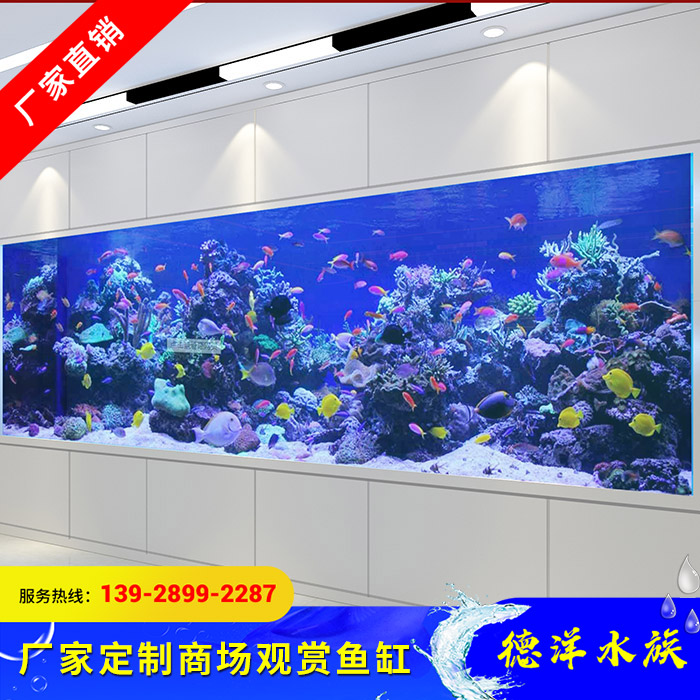 商场观赏鱼缸