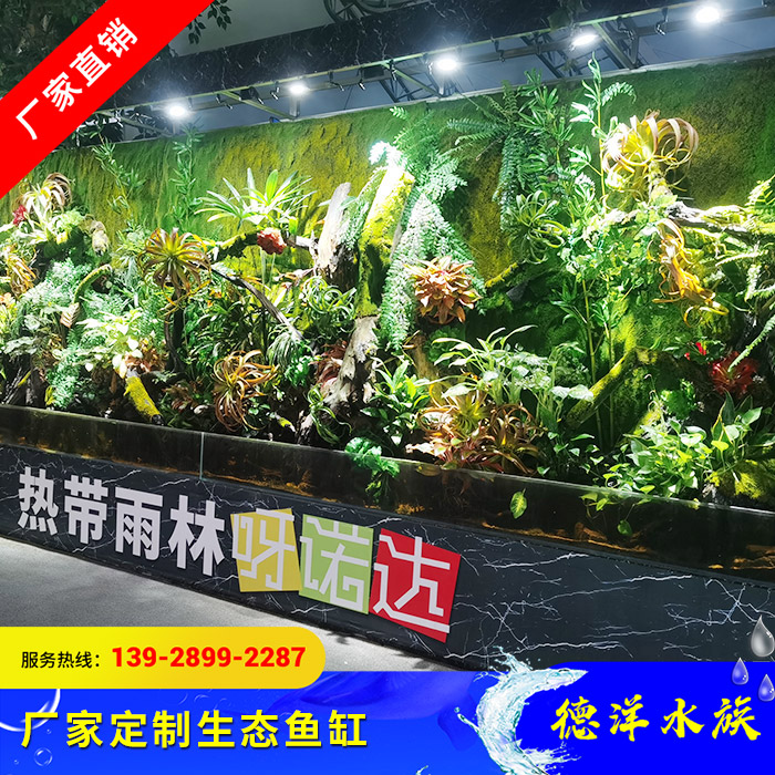 定制生态鱼缸