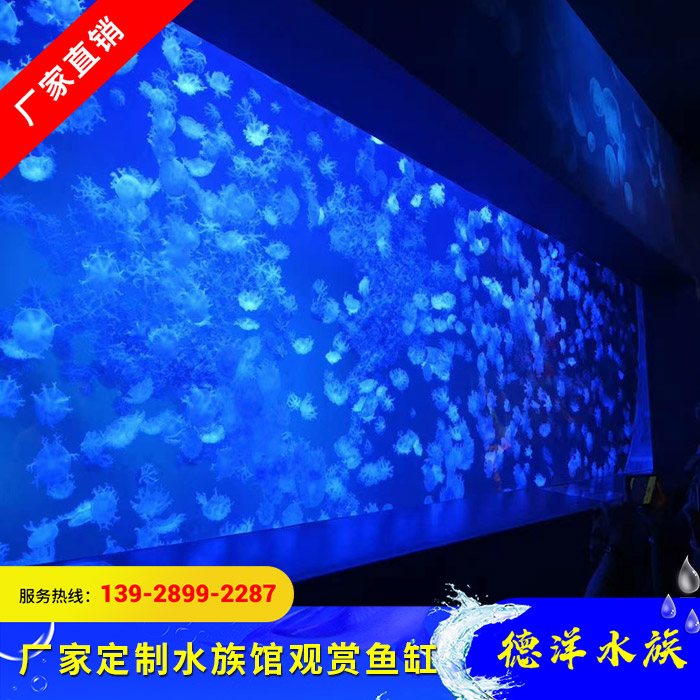 水族馆观赏鱼缸