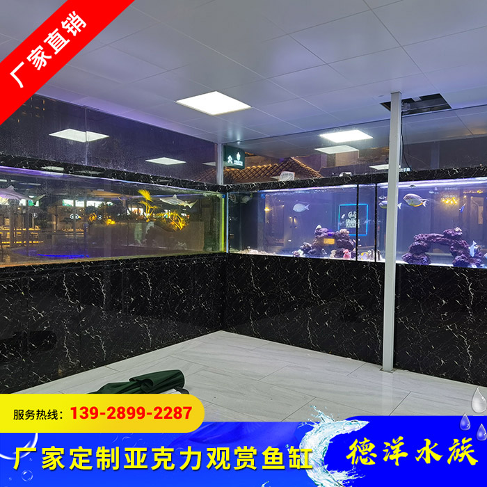 亚克力观赏鱼缸