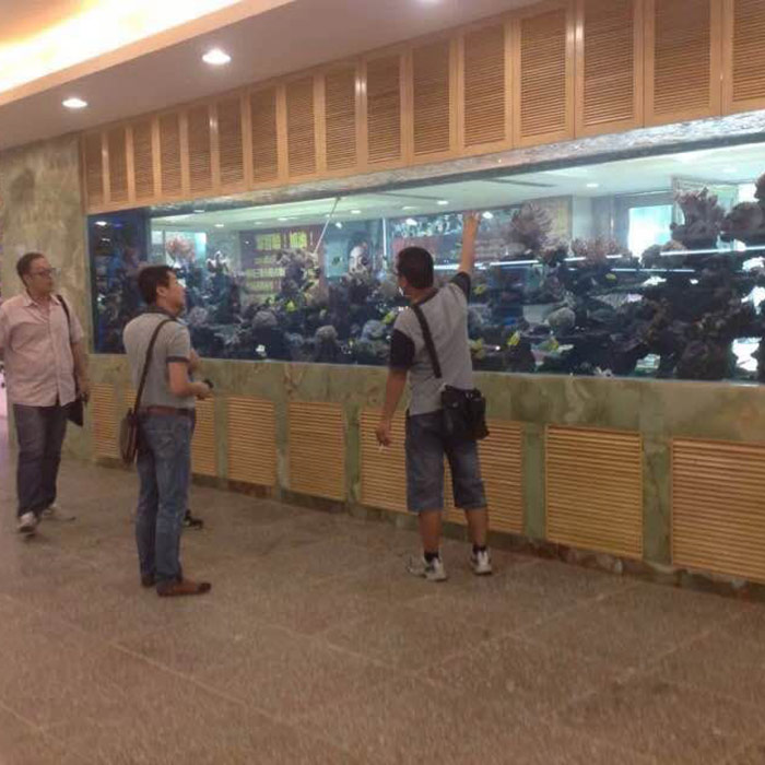 美吉特广场珊瑚海水缸