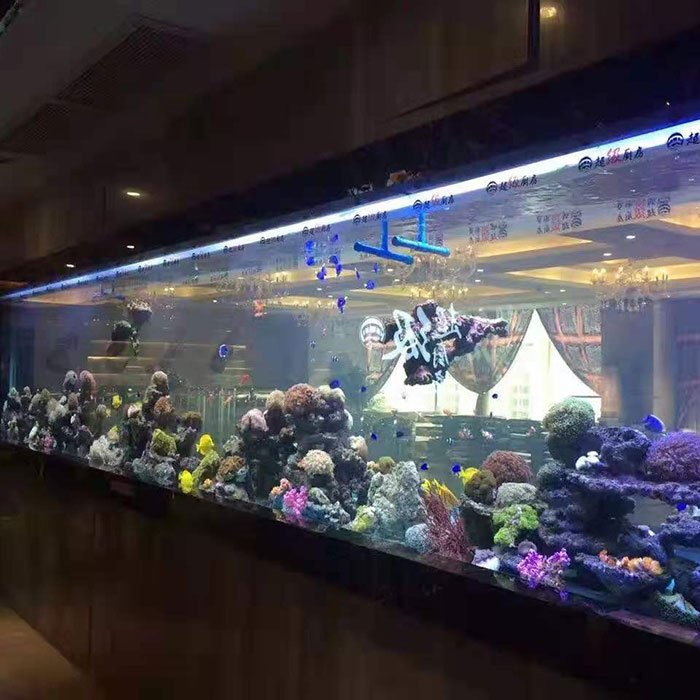 美吉特广场珊瑚海水缸