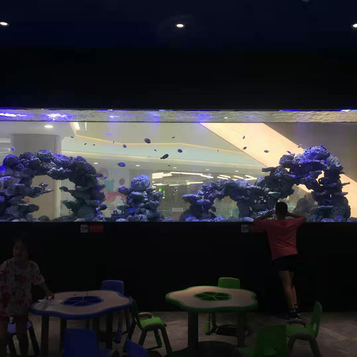 美吉特广场珊瑚海水缸