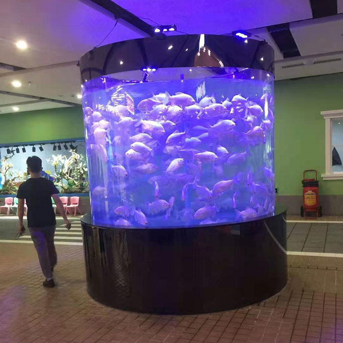 贵阳海立方雨淋缸造景