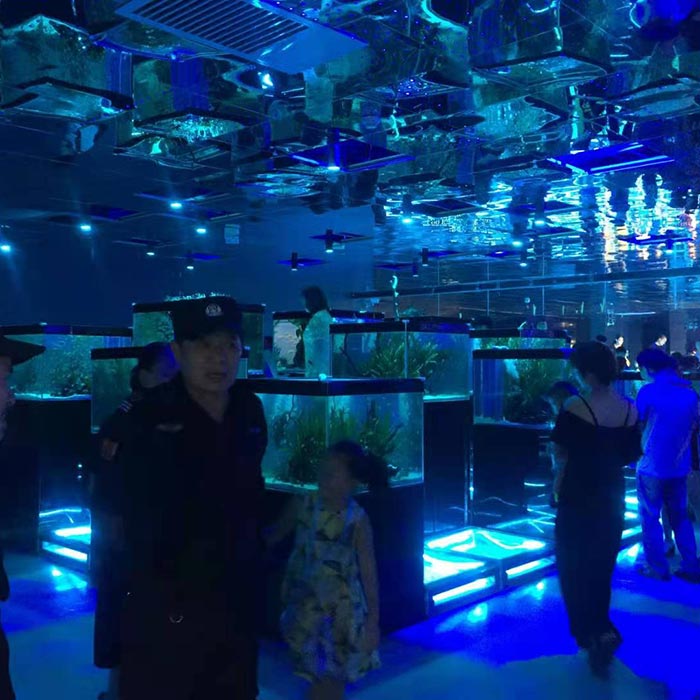 贵阳海立方雨淋缸造景