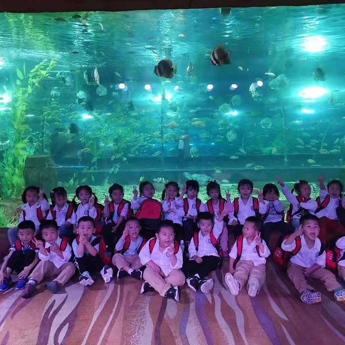 贵阳海立方雨淋缸造景