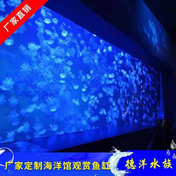 东莞海洋馆亚克景观缸