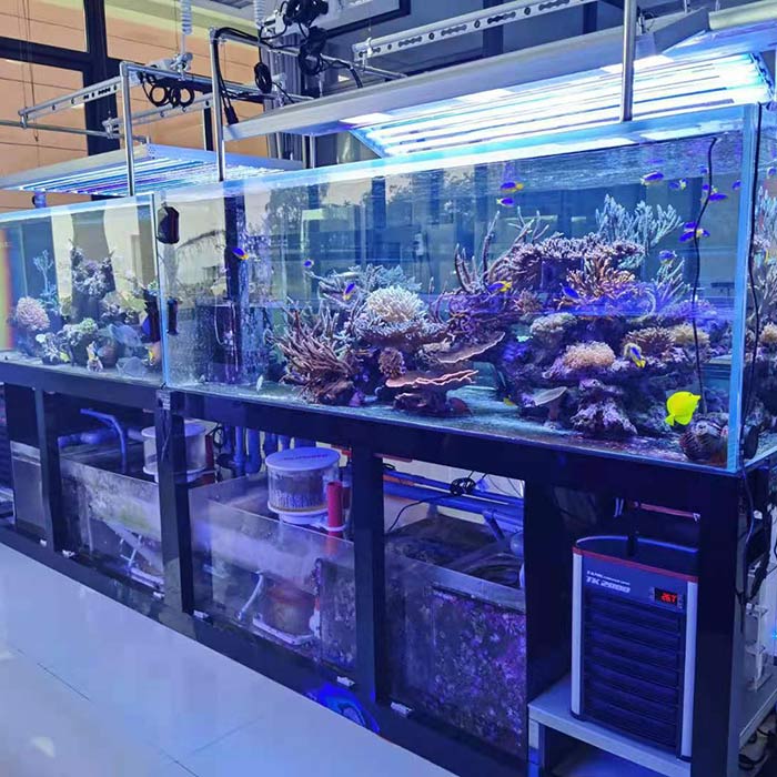 东莞海洋馆亚克景观缸