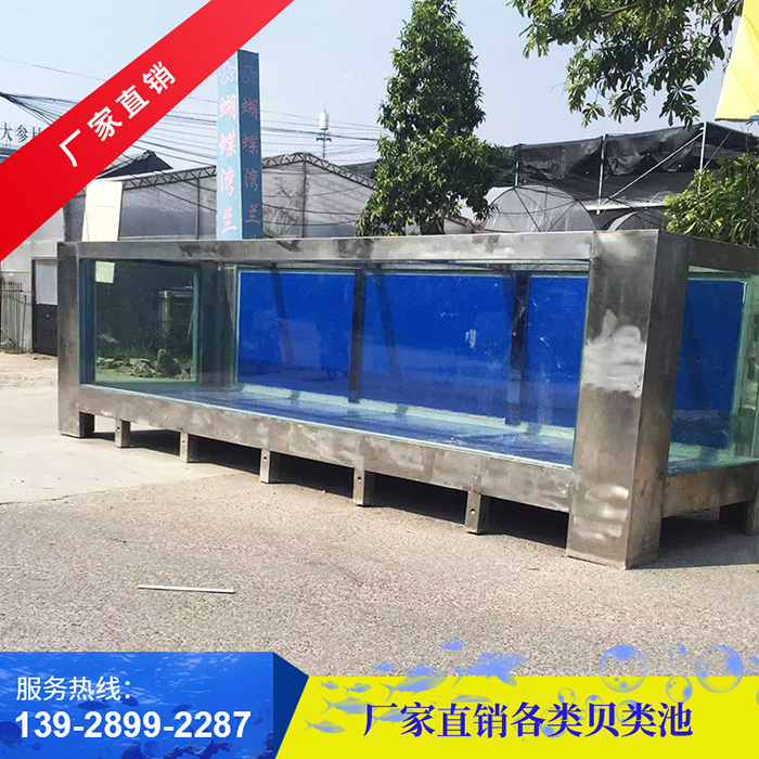 贝类池