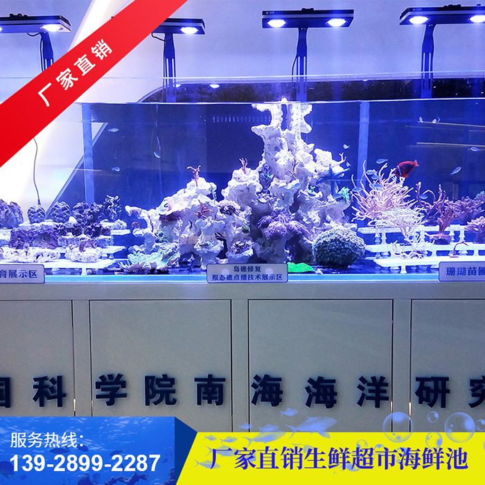 生鲜超市海鲜池