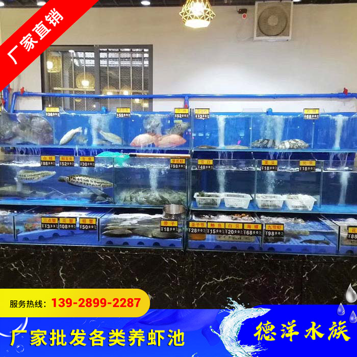 鱼池