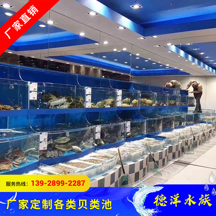 贝类池