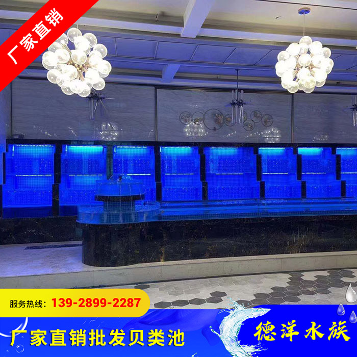 批发贝类池